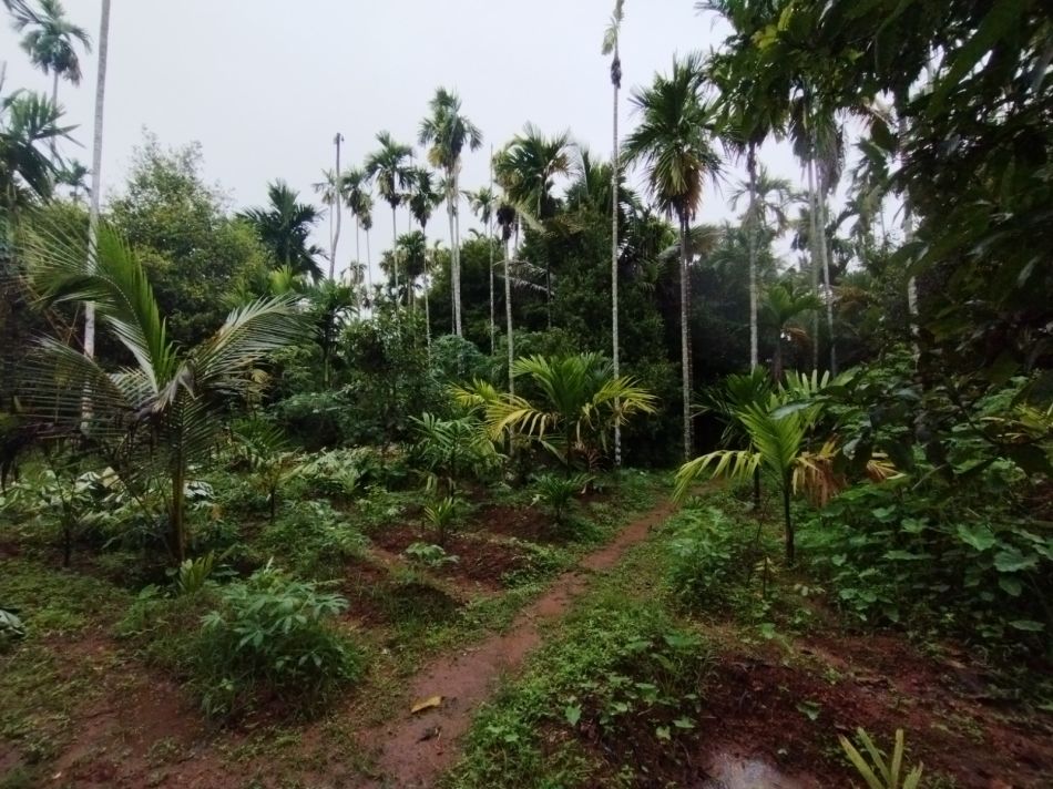 Agricultural Land For Sale