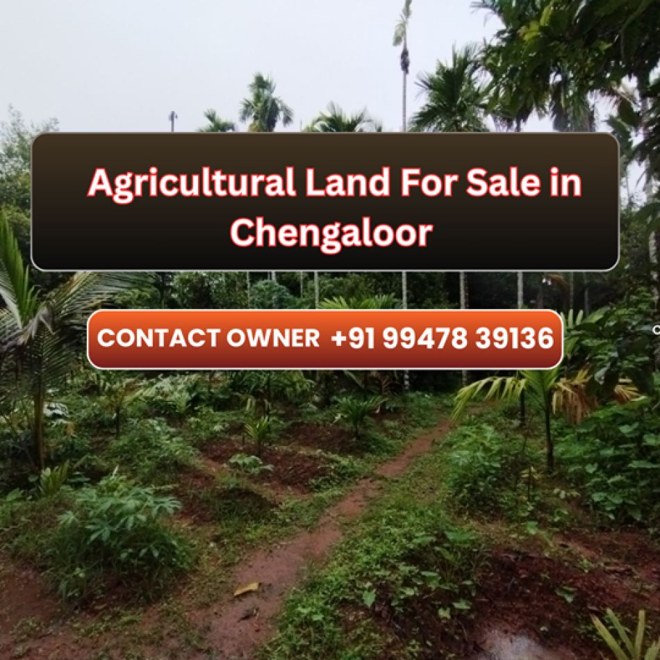 Agricultural Land For Sale