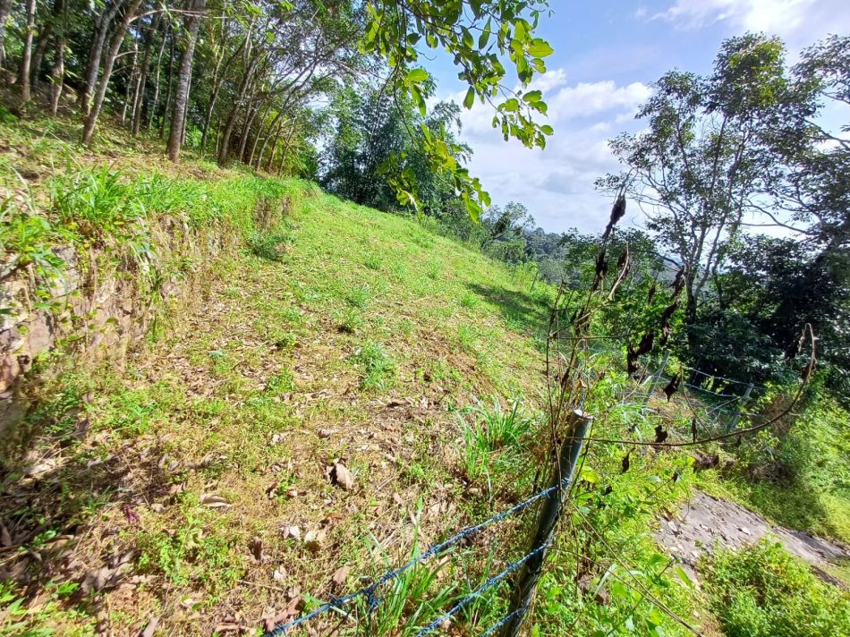 Agricultural Land For Sale