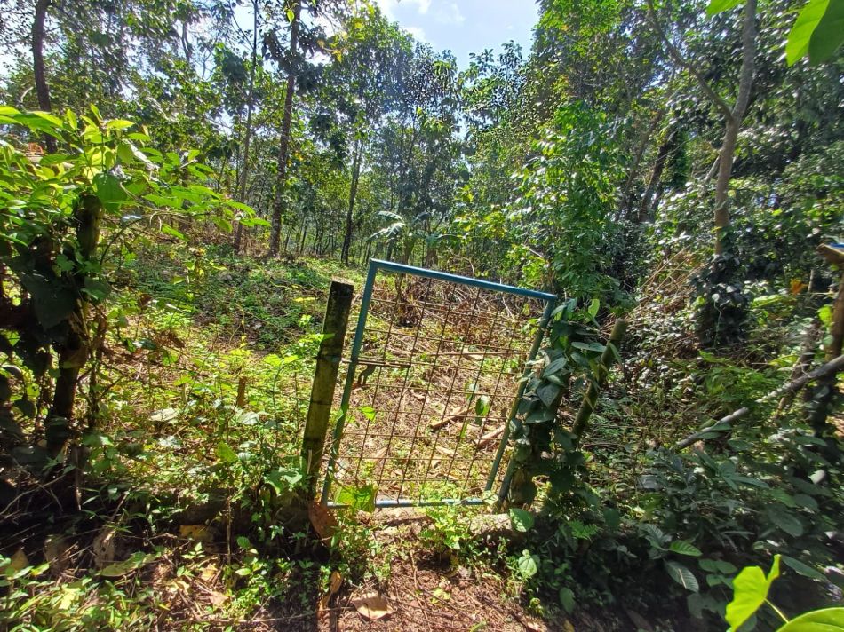 Agricultural Land For Sale