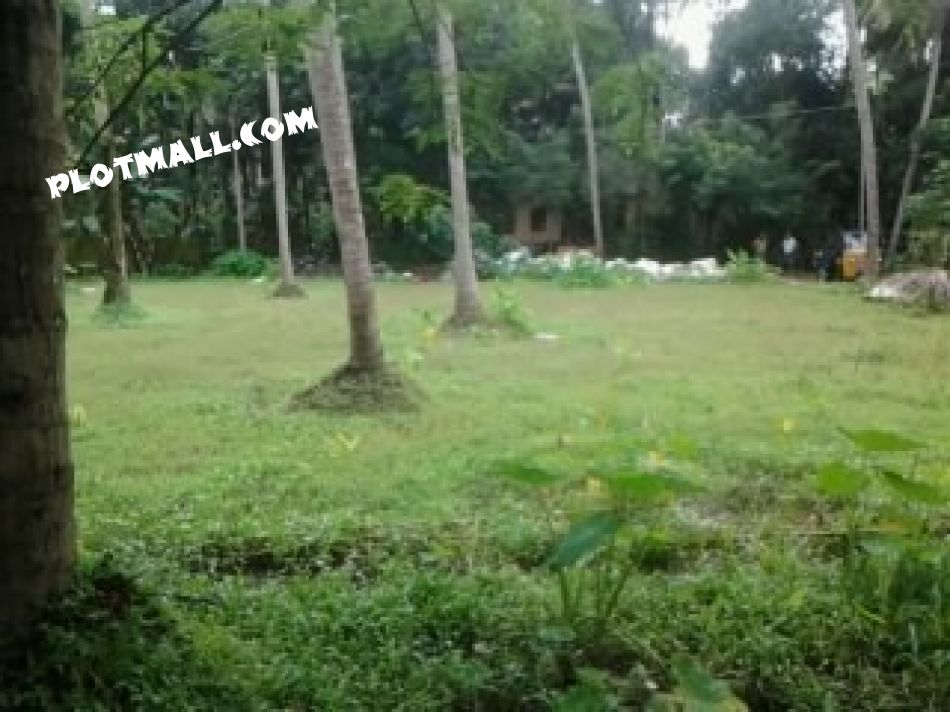 Agricultural Land For Sale