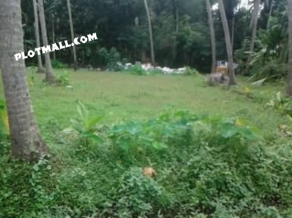 Agricultural Land For Sale