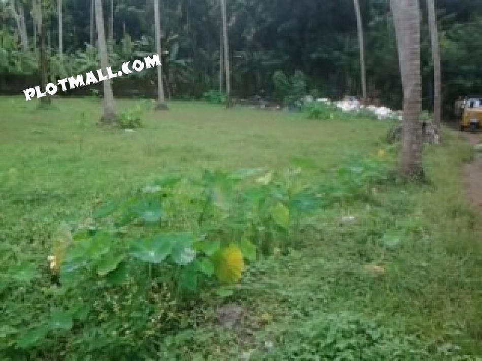 Agricultural Land For Sale