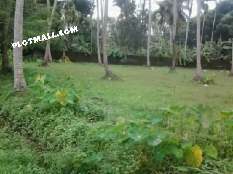 Agricultural Land For Sale