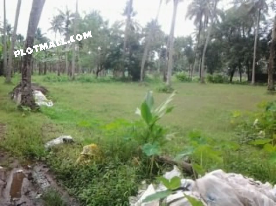 28 Cent Agricultural Land for Sale at Attupuram Budget - 140000 Cent