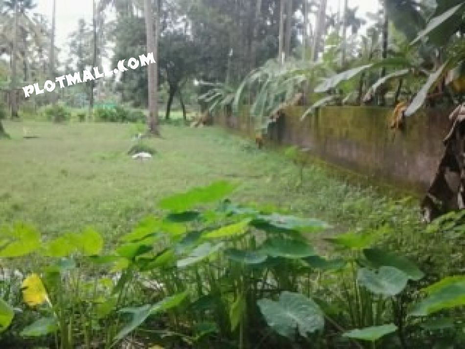 Agricultural Land For Sale