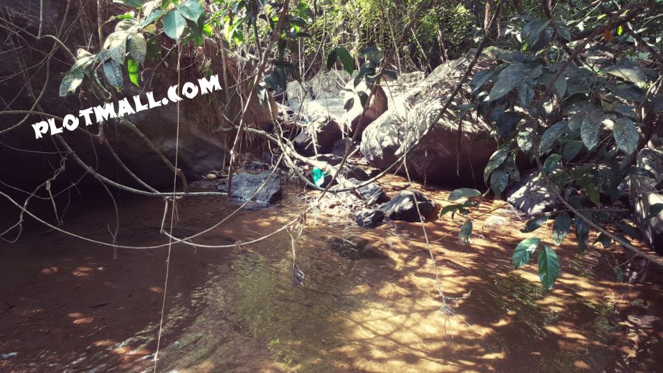 Agricultural Land For Sale