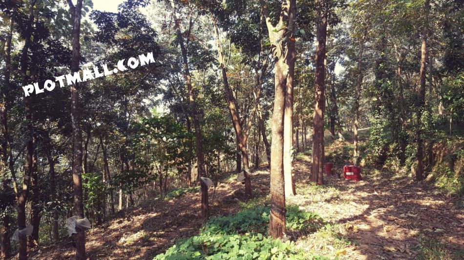 Agricultural Land For Sale