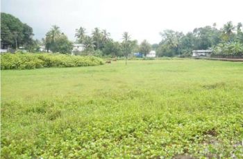 1.92 Acre Agricultural Land for Sale at Kadukutty Budget - 130000 Cent