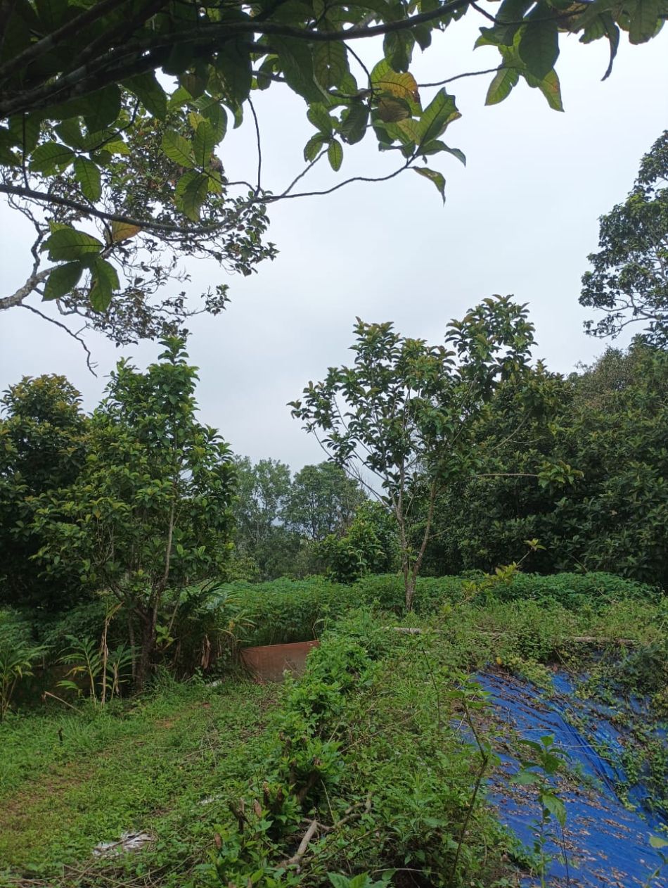 Agricultural Land For Sale