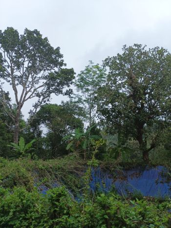 2.1 Acre Agricultural Land for Sale at Neriamangalam Budget - 5000000 Acre