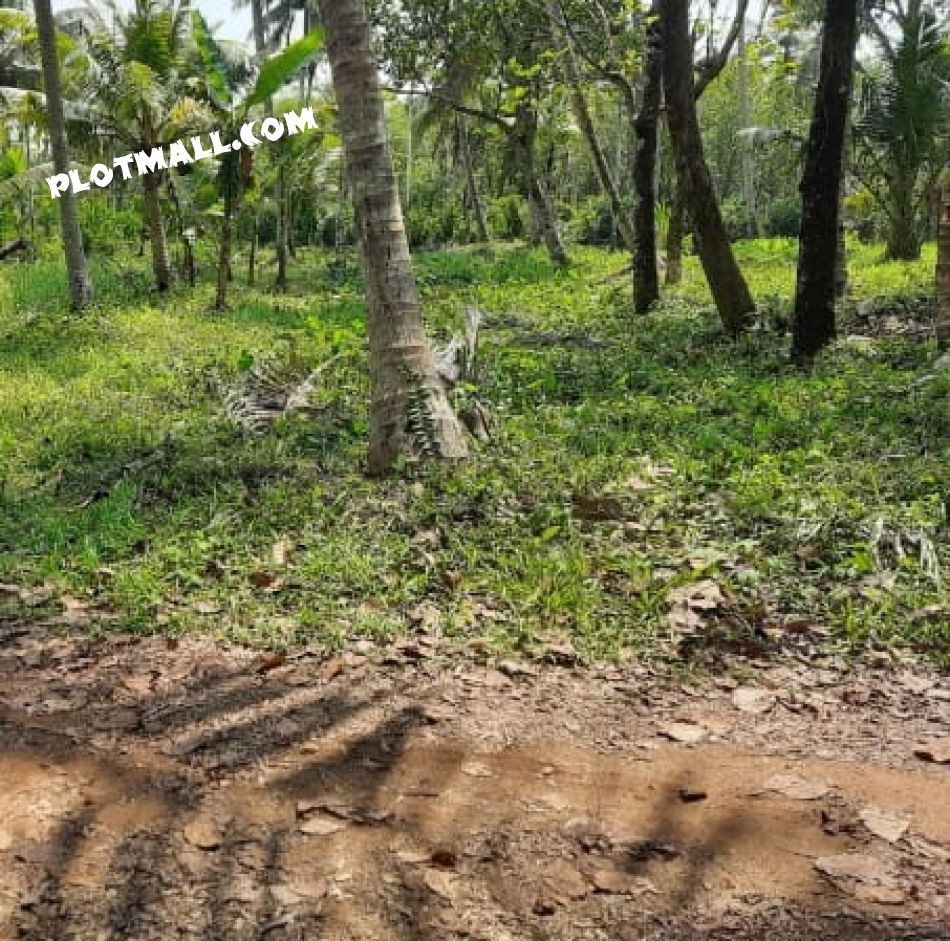 Agricultural Land For Sale