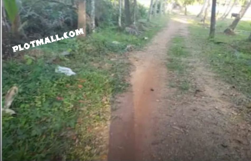 Agricultural Land For Sale