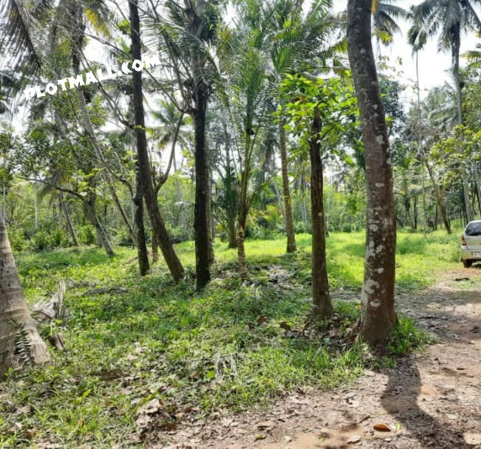 Agricultural Land For Sale