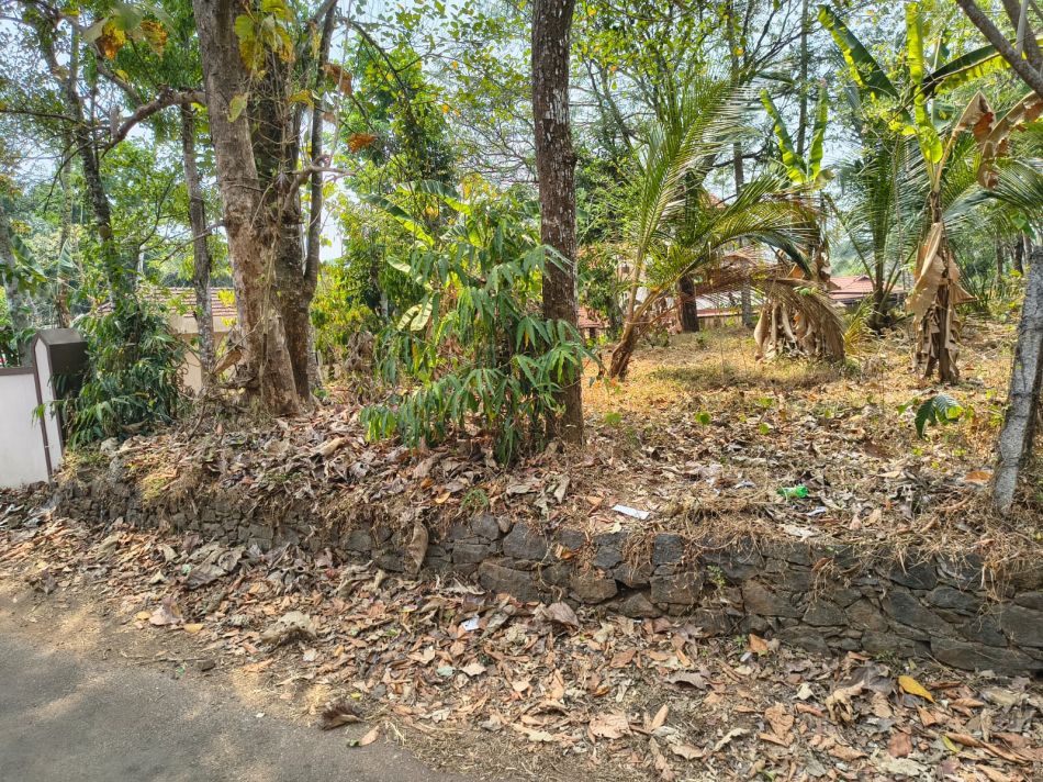 Agricultural Land For Sale