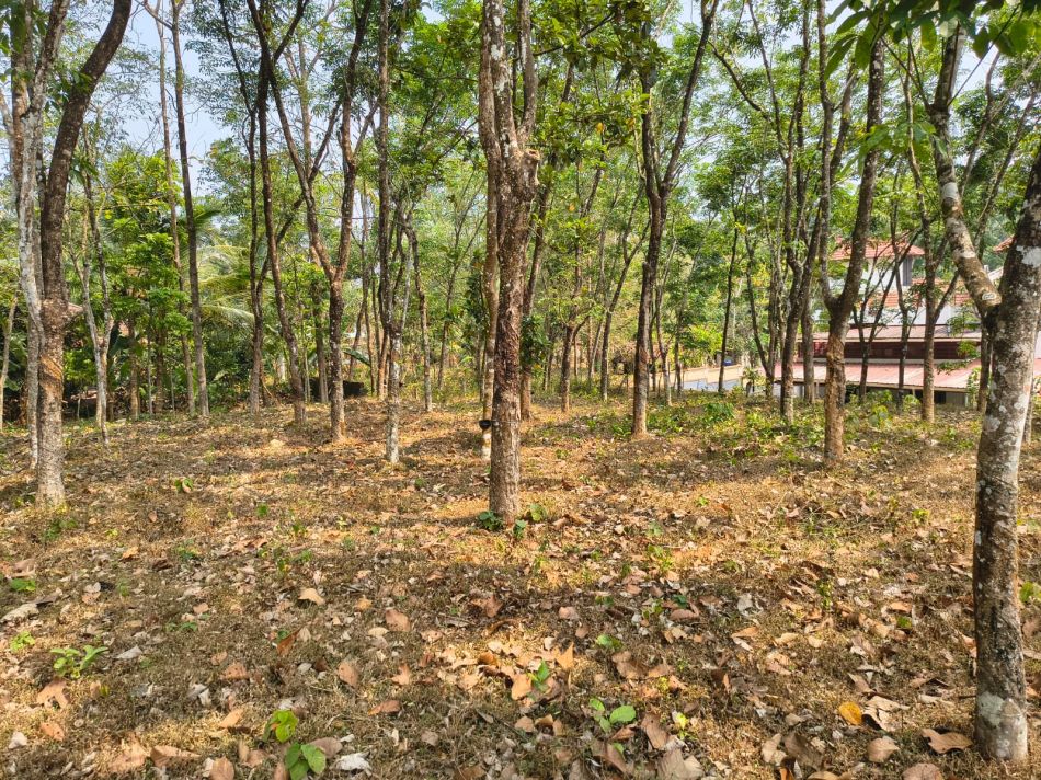 Agricultural Land For Sale