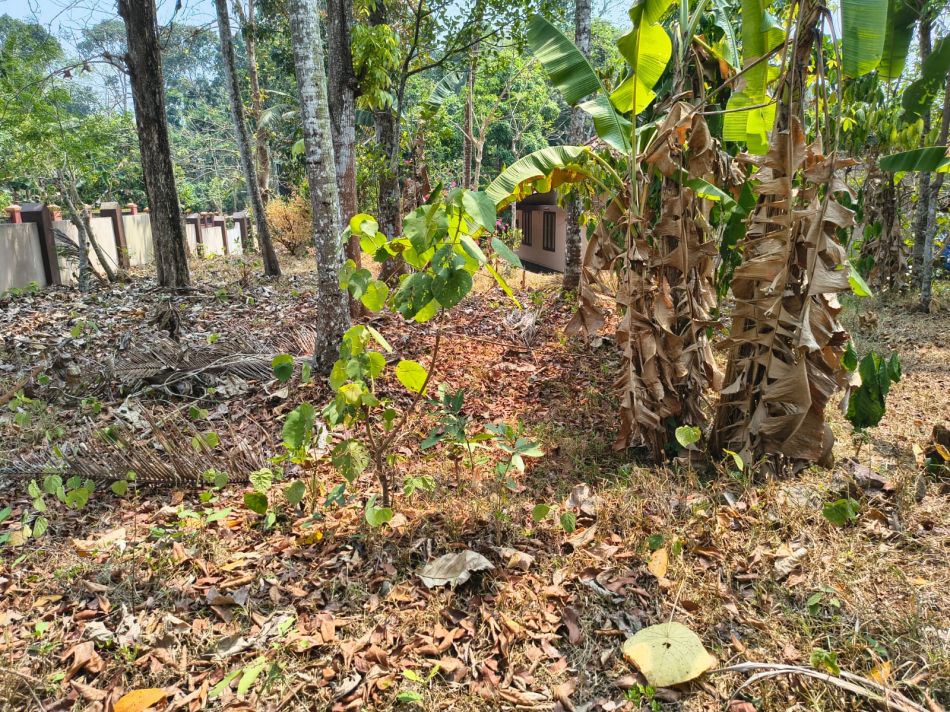 Agricultural Land For Sale