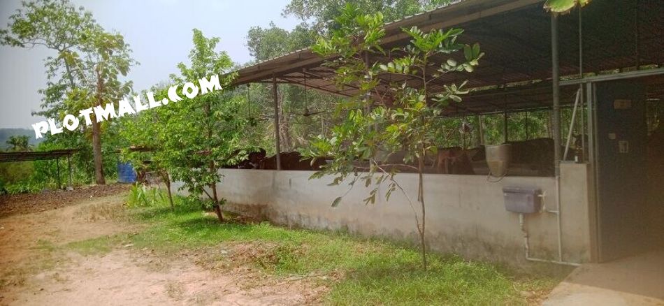 Agricultural Land For Sale