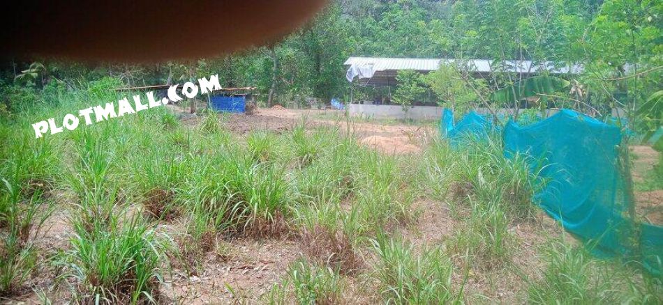 Agricultural Land For Sale