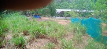 1 Acre Agricultural Land for Sale at  Budget - 125000 Cent