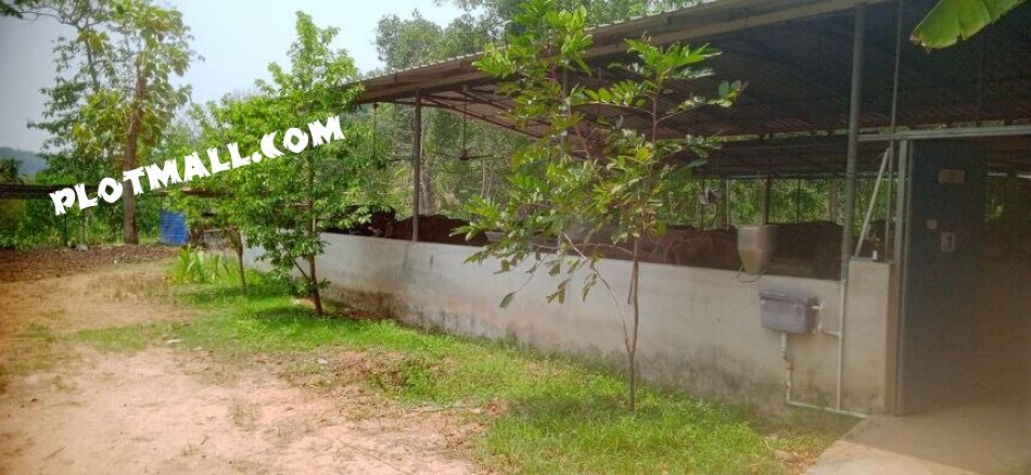 Agricultural Land For Sale