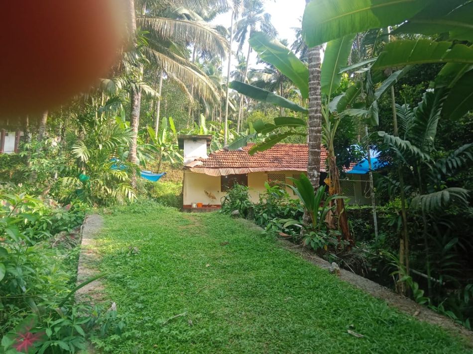 Agricultural Land For Sale