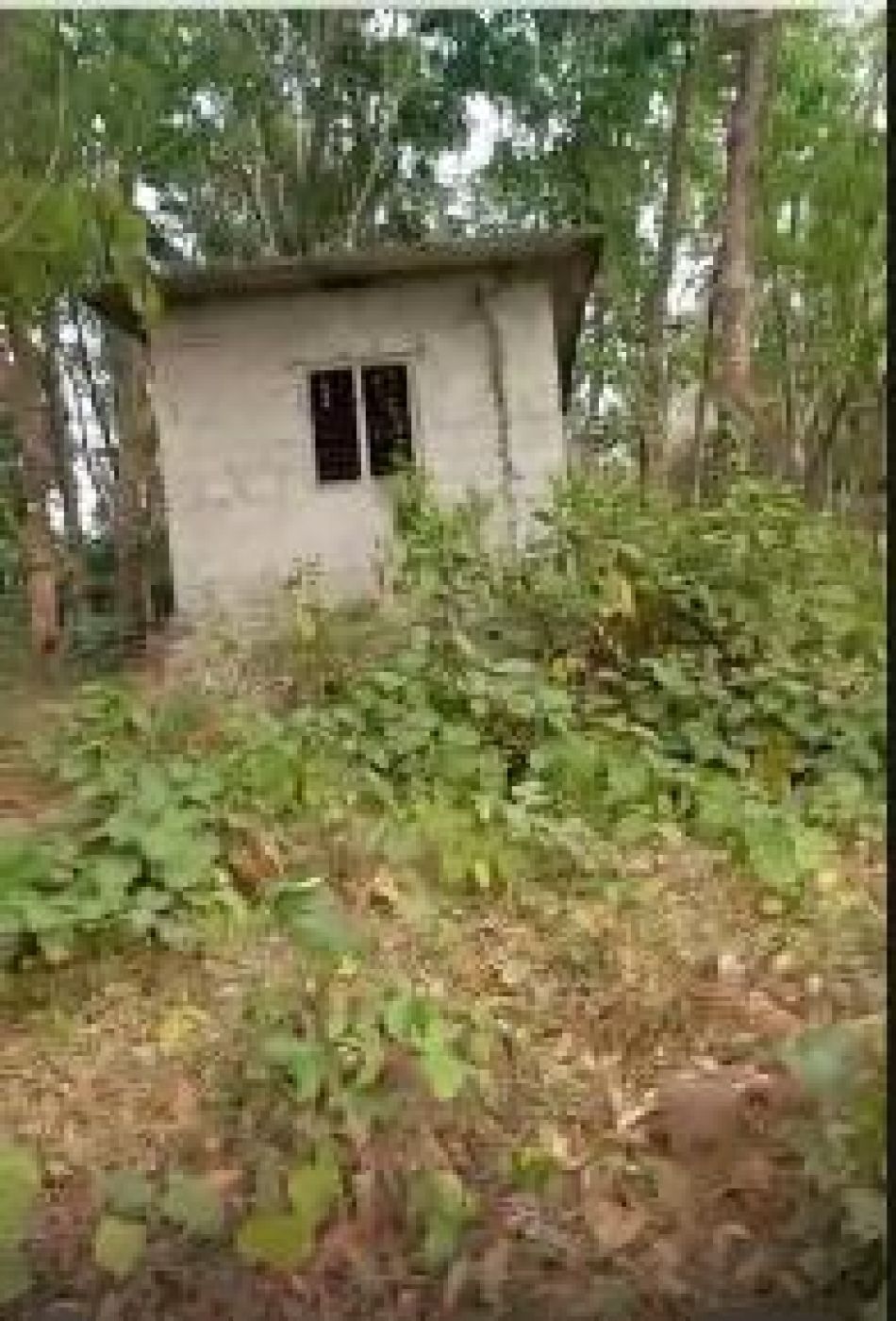 Agricultural Land For Sale