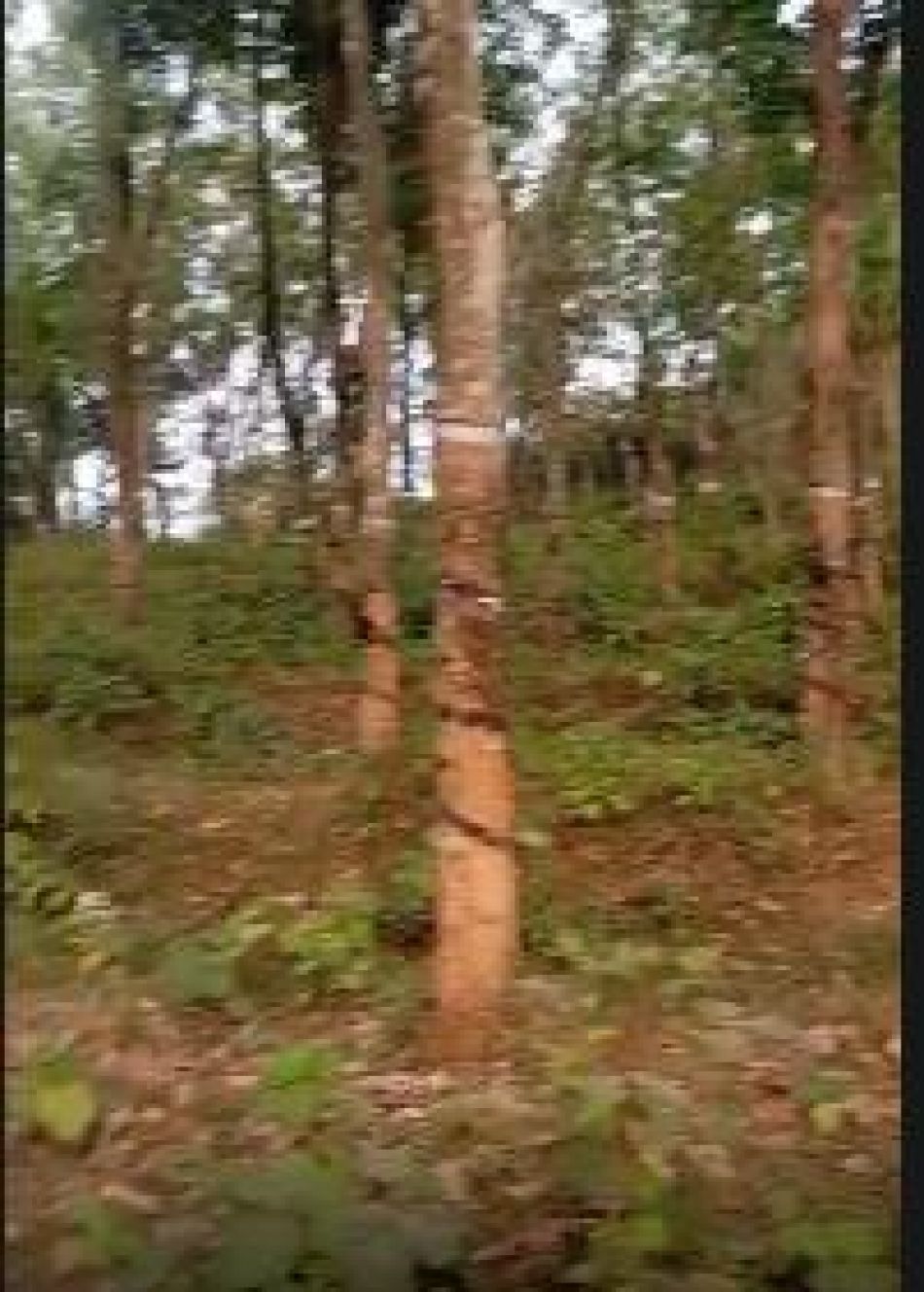 Agricultural Land For Sale