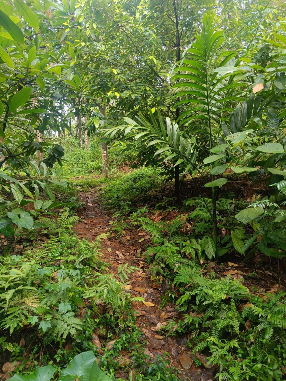 Agricultural Land For Sale