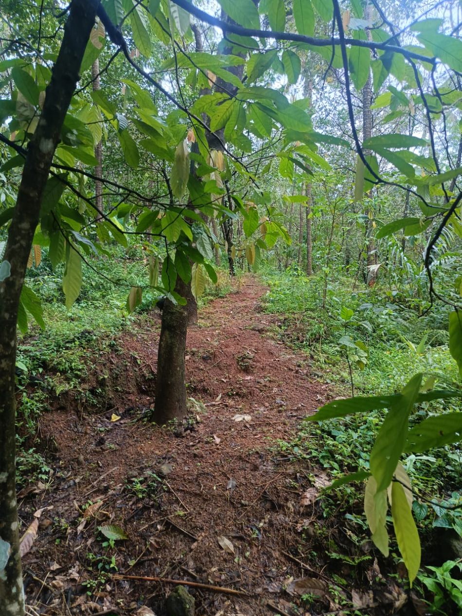 Agricultural Land For Sale