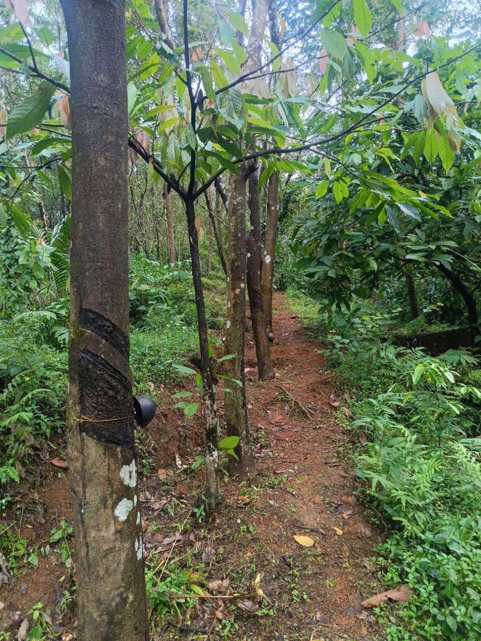 Agricultural Land For Sale