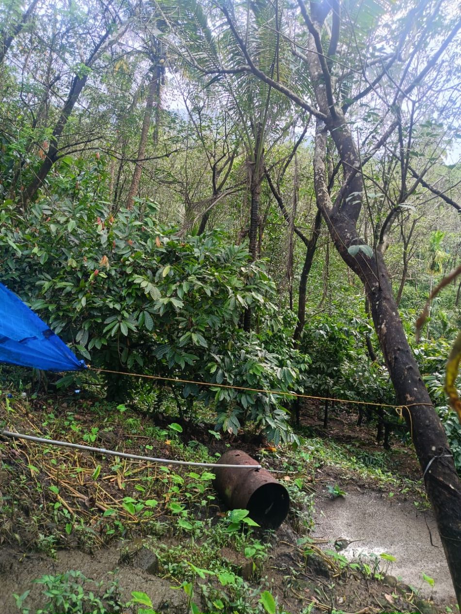 Agricultural Land For Sale