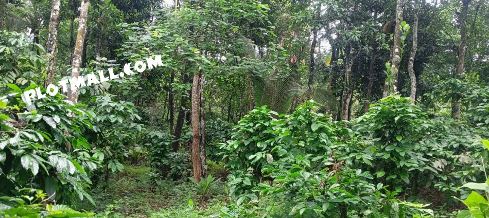 Agricultural Land For Sale