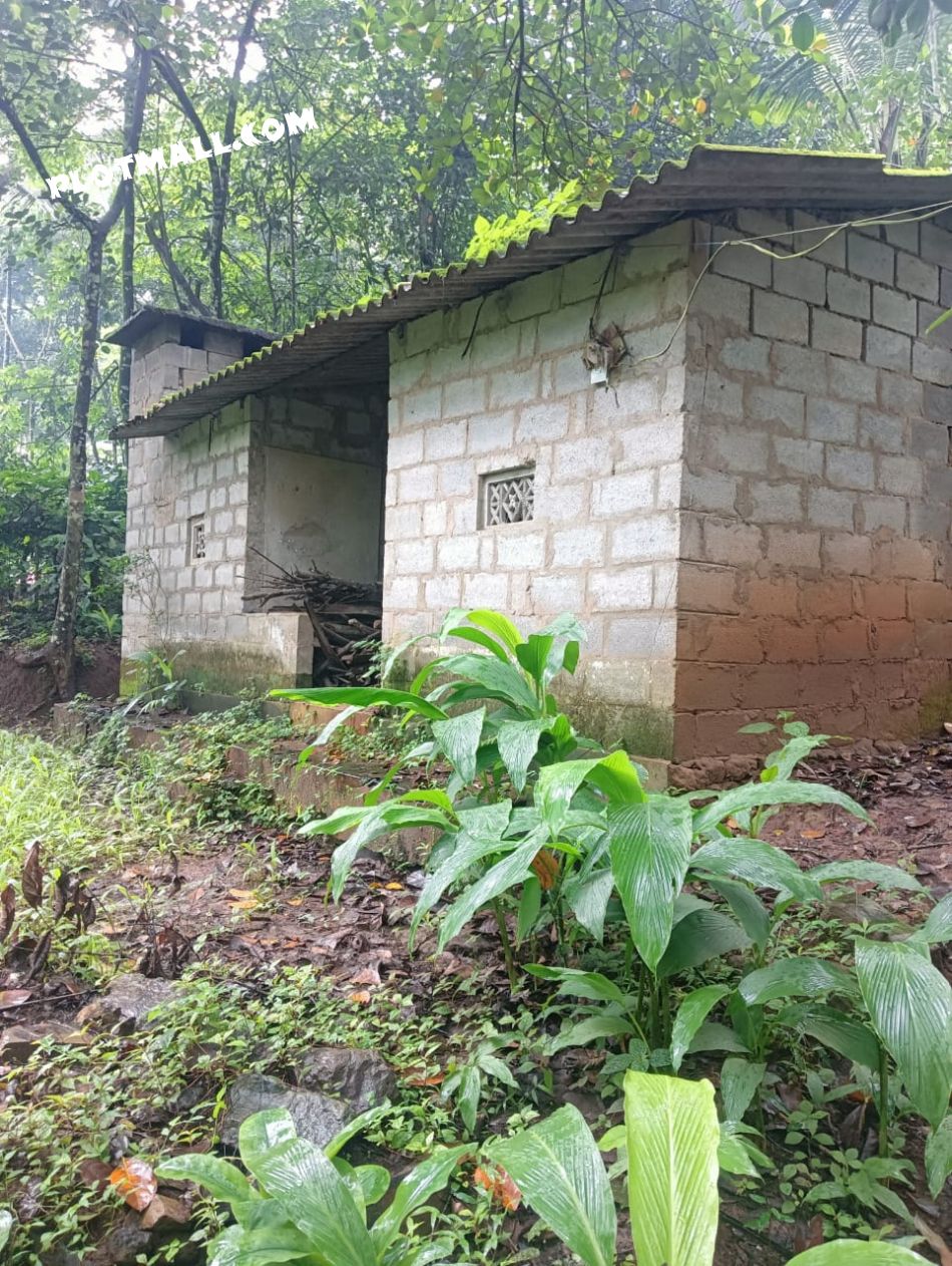 Agricultural Land For Sale