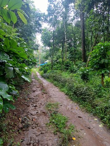 45 Cent Agricultural Land for Sale at  Budget - 3000000 Total