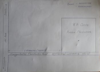 87 Cent Cent Agricultural Land for Sale at Marady Budget - 135000 Cent