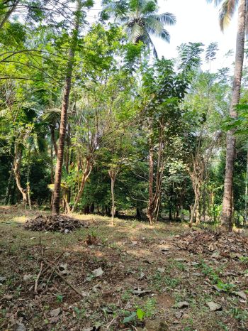 1.293 Acre Agricultural Land for Sale at Oorakam Budget - 250000 Cent