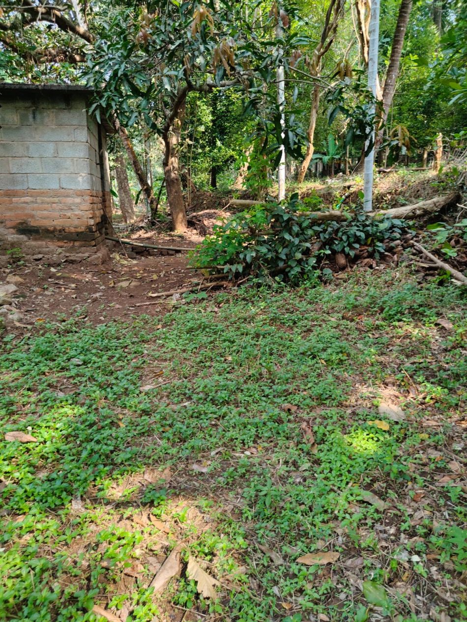 Agricultural Land For Sale