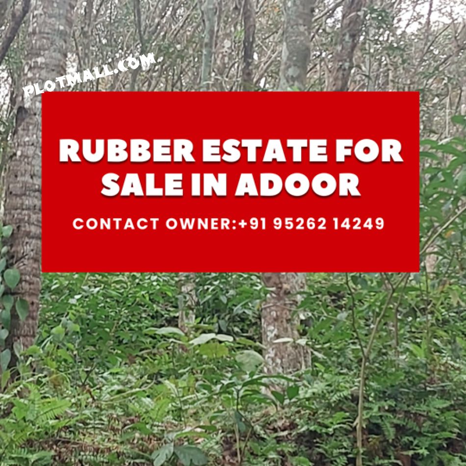 2.8 Acre Agricultural Land for Sale at Peringanad Budget - 22000 Cent