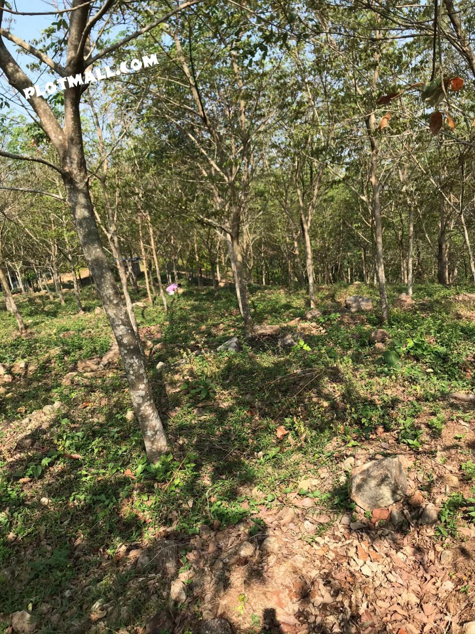 Agricultural Land For Sale