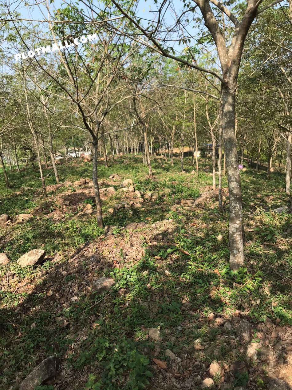 Agricultural Land For Sale