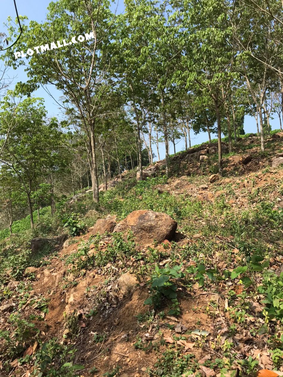 This Is The First Plot,
first Plot Is Little Rough With More Rocks Compared To The Second Which Is Almost Flat.