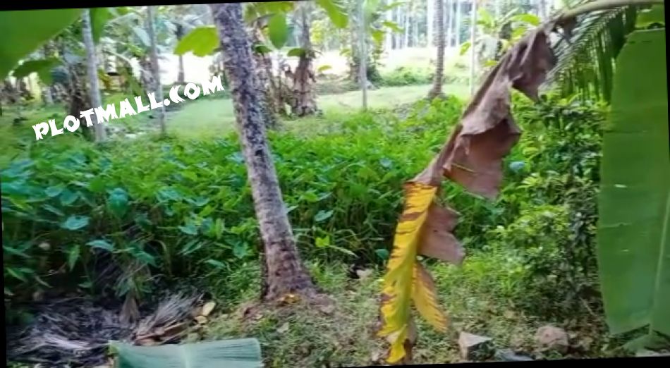 Agricultural Land For Sale