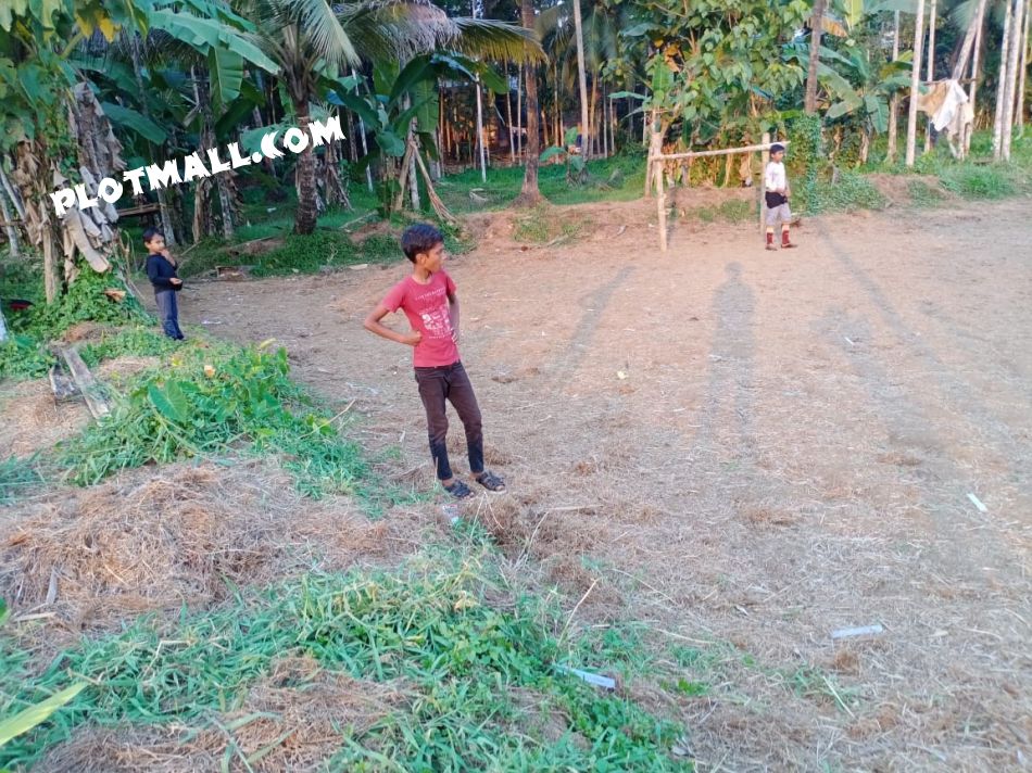 Agricultural Land For Sale