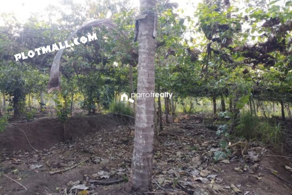 Agricultural Land For Sale