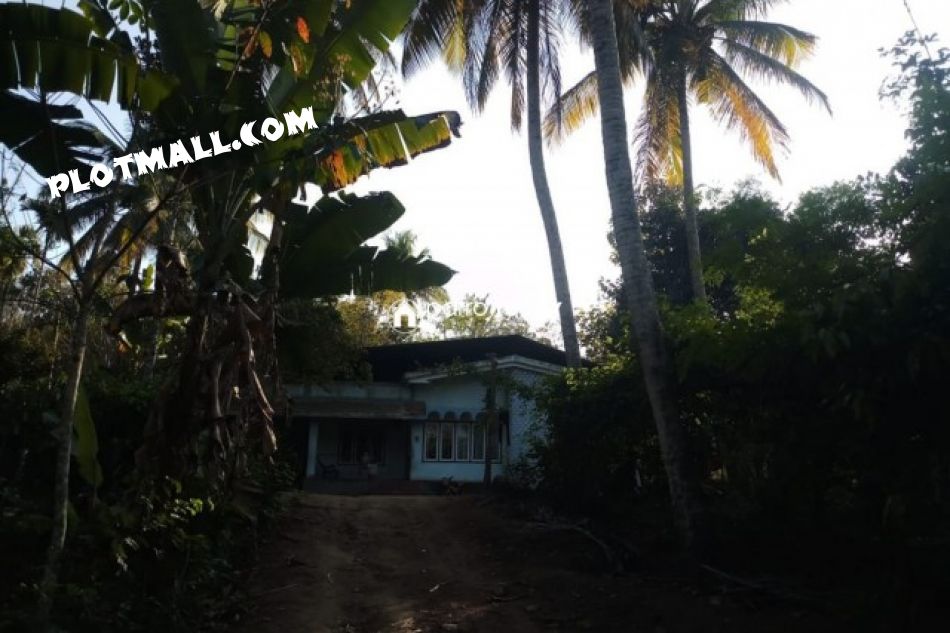 Agricultural Land For Sale