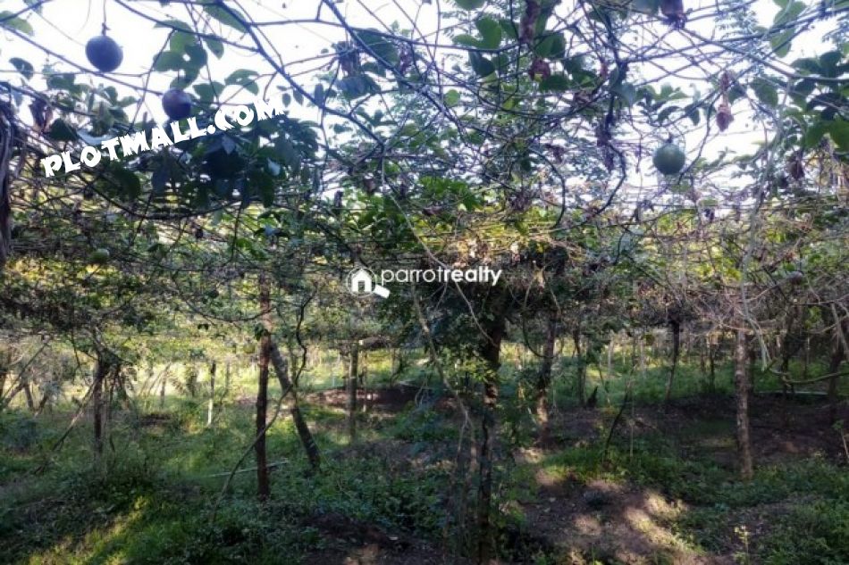 Agricultural Land For Sale