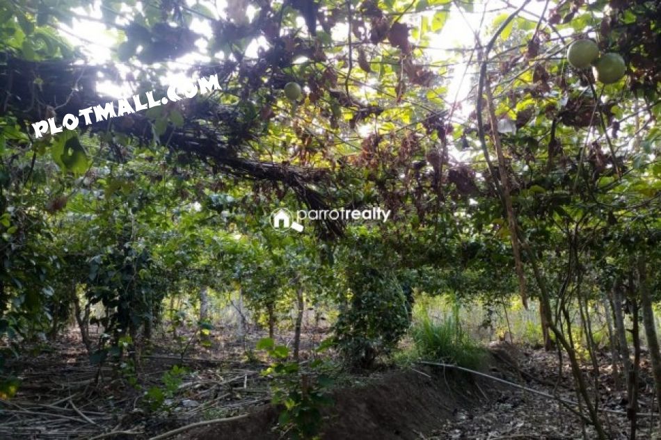 Agricultural Land For Sale