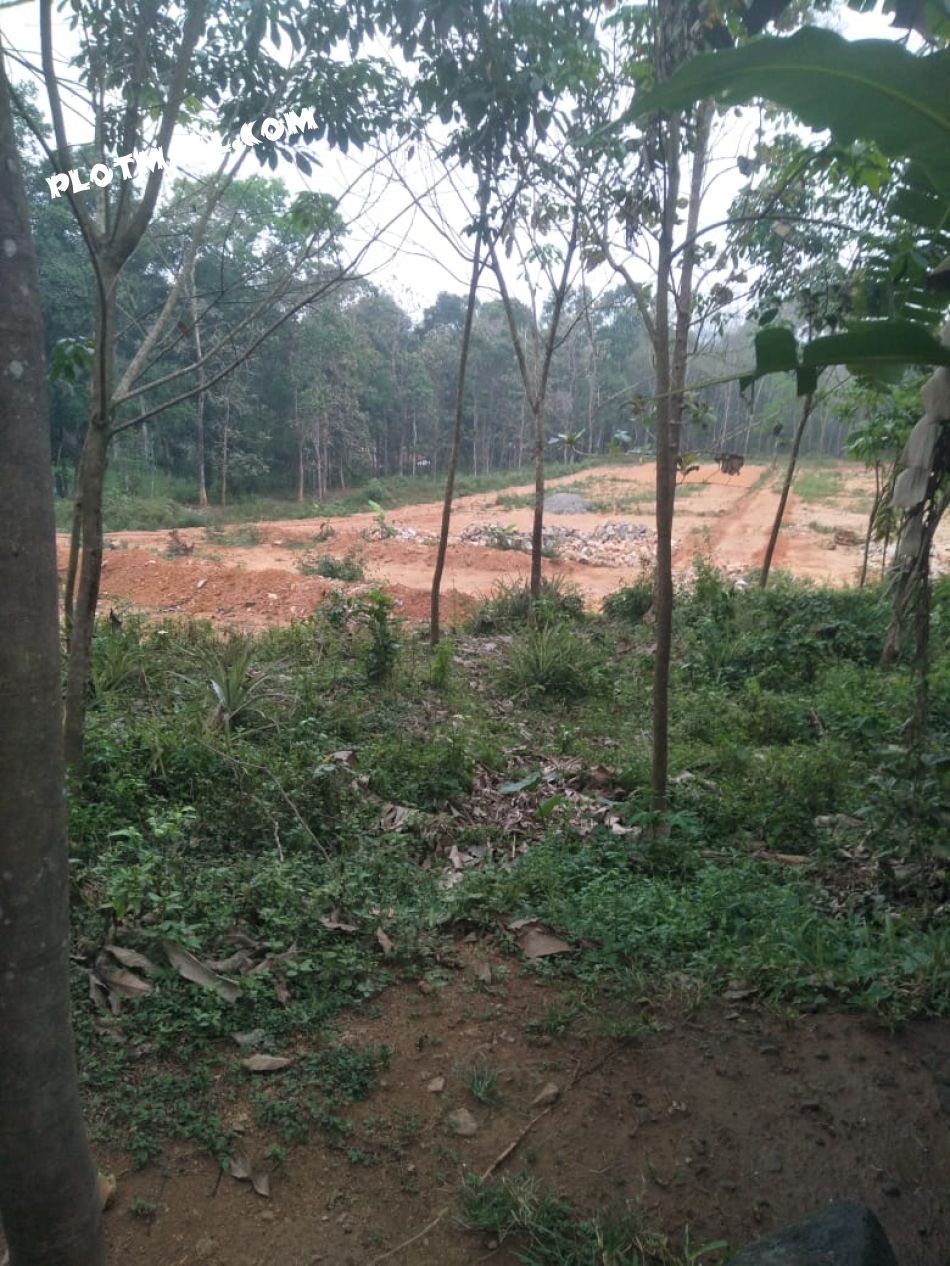 4 Acre Agricultural Land for Sale at Pathanamthitta Budget - 12500000 Total