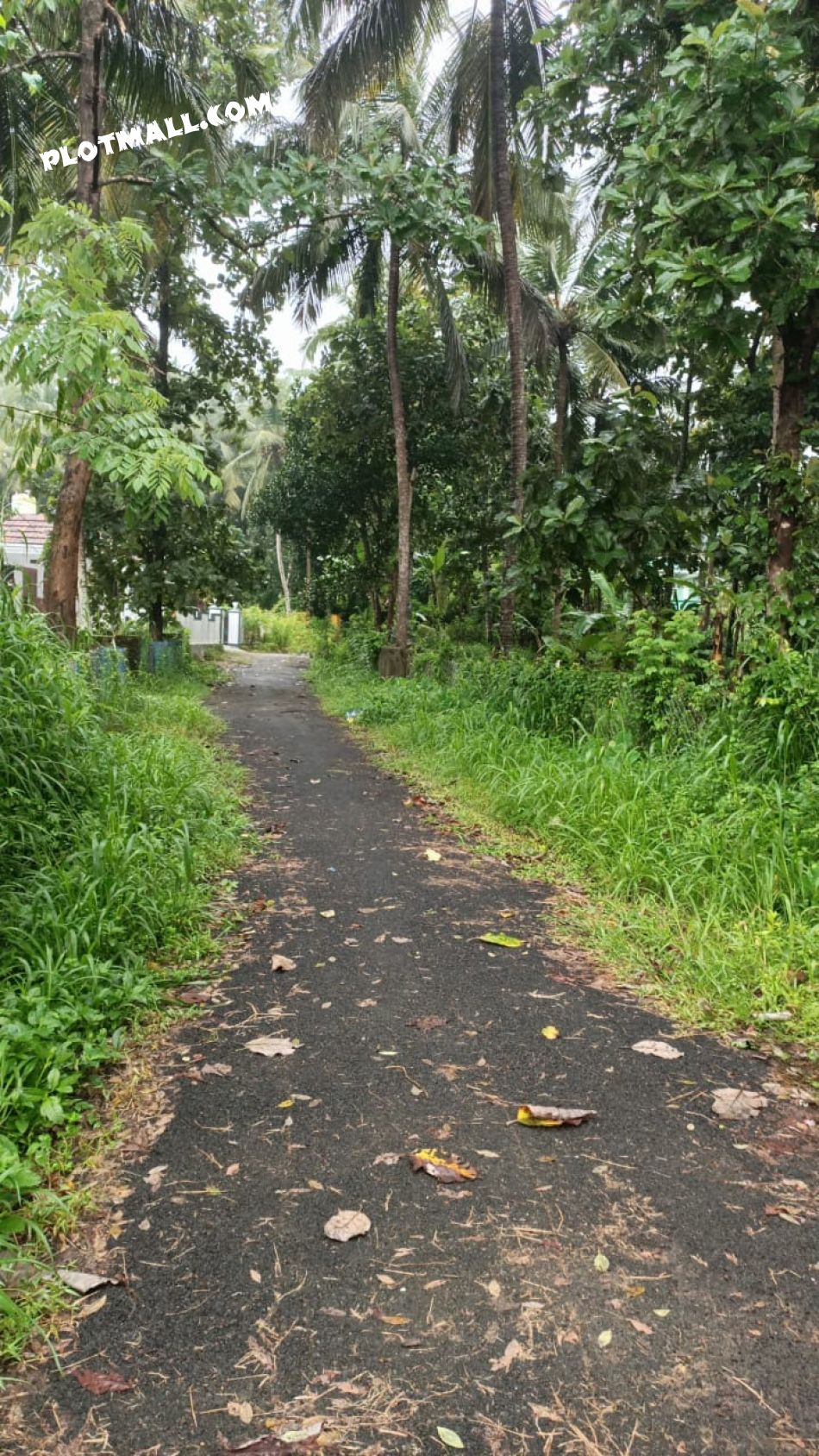 Agricultural Land For Sale